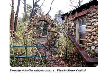 The remnants of the stone archway and ticket booth at the entrance to Dr. McCleery's wolf park between Gap and Coatesville, PA as of 2014. Photo by Kirsten Canfield.