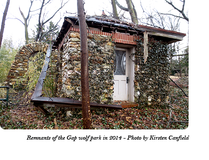 The remnants of the stone archway and ticket booth at the entrance to Dr. McCleery's wolf park between Gap and Coatesville, PA as of 2014. Photo by Kirsten Canfield.