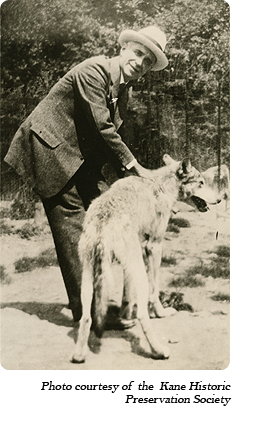 Dr. McCleery with a wolf at his first lobo wolf park within the town limits of Kane, PA (1921-1929)